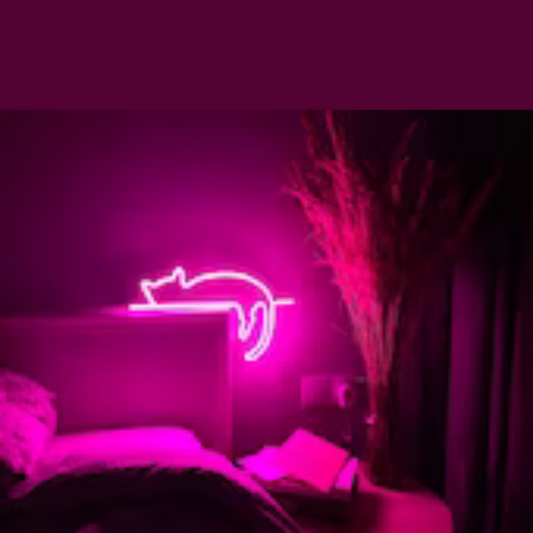 Cute Cat Neon Sign