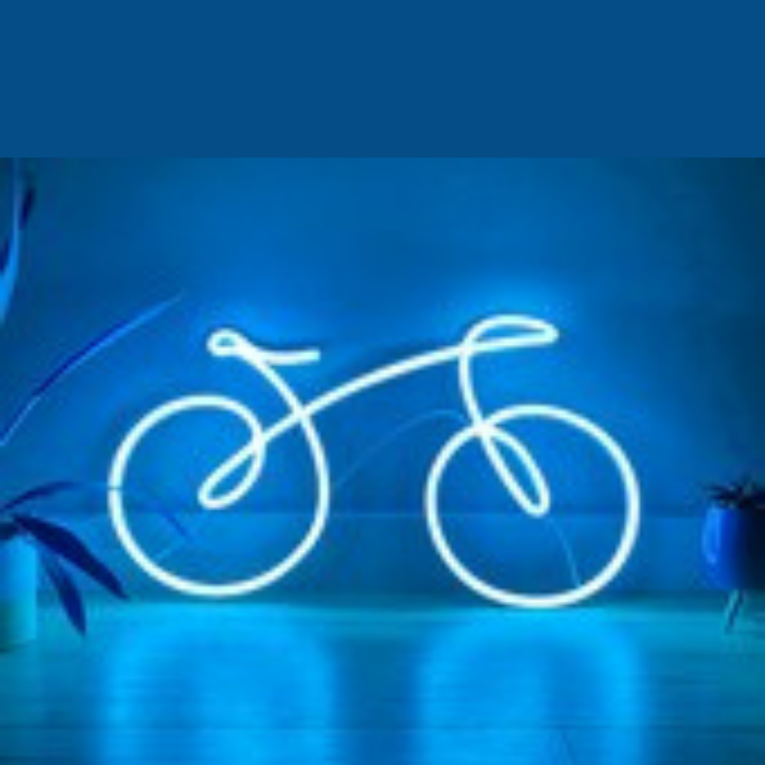 Bicycle LED Neon Light